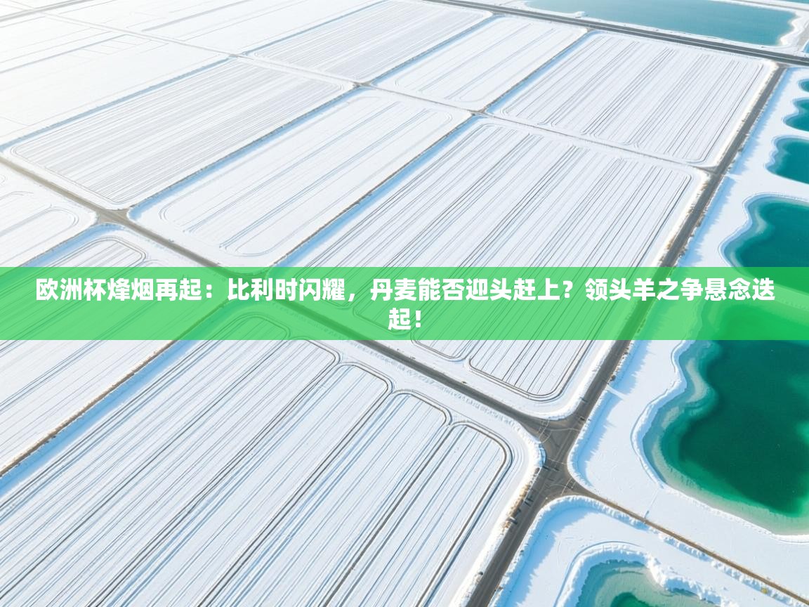 欧洲杯烽烟再起：比利时闪耀，丹麦能否迎头赶上？领头羊之争悬念迭起！  第1张
