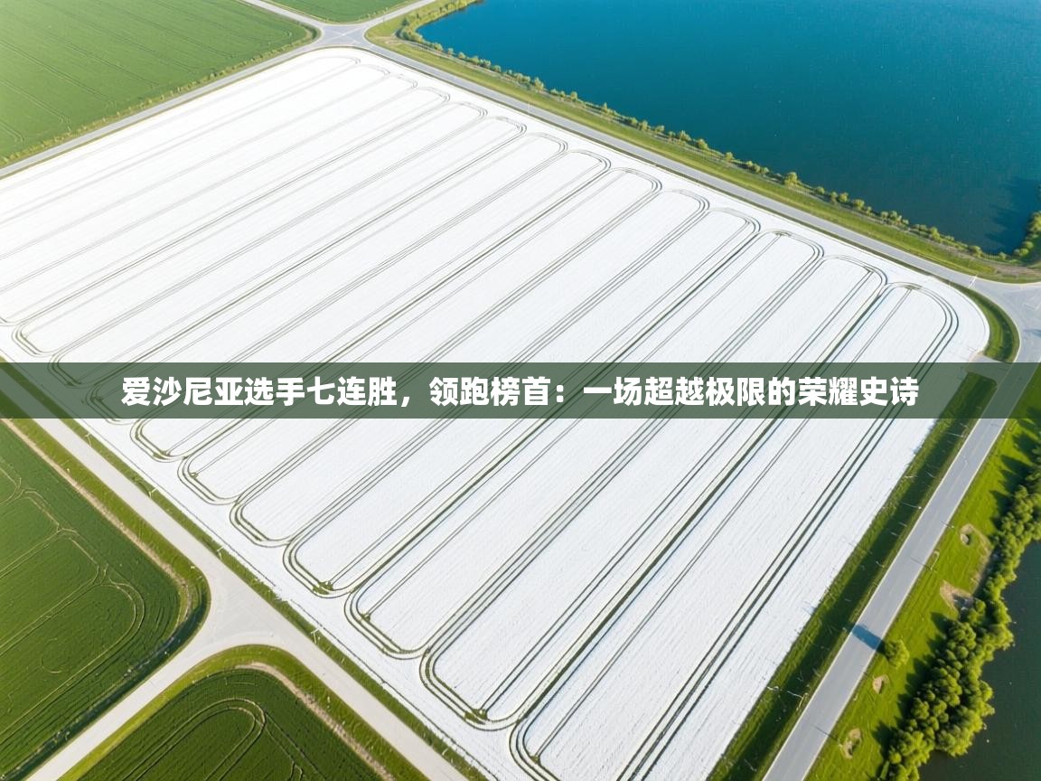 爱沙尼亚选手七连胜,领跑榜首:一场超越极限的荣耀史诗 第2张